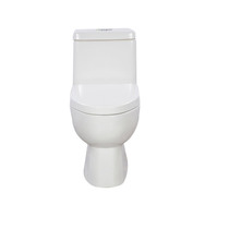 KOHLE KOHLE Ordinary Toilet KOHLE Toilet K-3983T-S2-0
