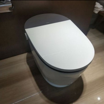 Hans Geyer hansgrohe Intelligent Toilet Integrated Instant Toilet