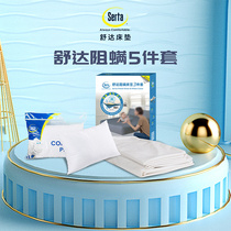 Serta Shuda (cloud rock) Shuda Choke Mite Five Pieces of Heather Silk Fabric Flexslide Pro-Skin Natural Antibacterial Suit