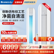 Gree time painted 2 horses living room cooling and heating vertical cabinet Machine new national standard 1 level energy efficiency inverter air conditioner Gray
