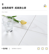 Dongpeng floor tile 300ELP52005_A to climb the wall star products modern simple light luxury minimalist