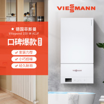 German Fisman Sky Gas Wall-mounted Stove A1JF-18kw Heating Life Water Dual-use Stove Obsessed with your Type