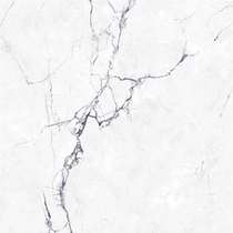 Dongpeng ceramic tile 800x800 literati ink modern simple minimalist style Guest restaurant floor tile tile