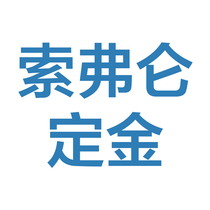 Sophim deposit home environmental protection Health modern simple style texture high quality light luxury minimalist comfortable indoor