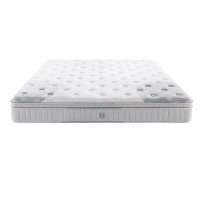 Xia Linmen Yuexon · Jiachi mattress all natural latex independent pocket spring 3D jute fabric