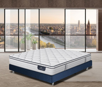 Serta American Shuda perfect series Benteng household ridge protection spring mattress moderate and hard