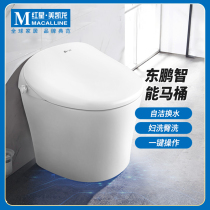 Dongpeng bathroom smart toilet automatic one-piece flushing toilet hot air drying and self-cleaning water change