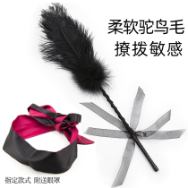 Ostrich hair feathers hand-held training stick flirting tease passion provocative torture and emotional whip alternative toys