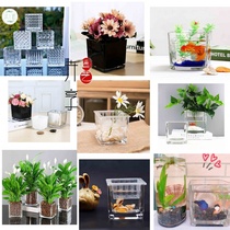  Hydroponic vase Office desk square fish tank flower pot desktop transparent flower cultivation utensils White palm glass bottle hydroponic