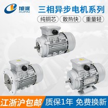 YS7124 YS7124 YE2-71M2-4 Y2-71M2-4 Y2-71M2-4 asynchronous motor 380V national standard 0 37KW motor