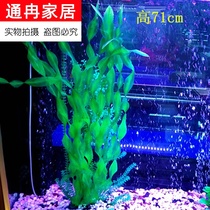 Simulation of aquatic plants in the fish tank. The aquatic plants in the fish tank are placed in the fish tank.