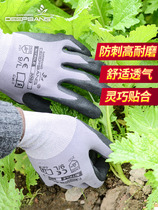 Gardening gloves Stab-resistant waterproof grass-pulling gloves wear-resistant non-slip anti-tie multifunctional floral protection protective thick gloves