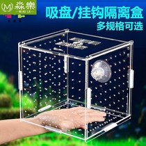 Guppies breeding box fish tank isolation box breeding box separator suspended acrylic small isolation box aquarium