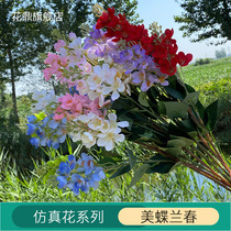 Imitation Mei Dailan hyacinth wisteria wedding road silk flower table flower home living room flower arrangement flower decoration