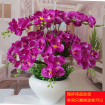 Butterfly Lan Emulation Flower Potted Flowers Living Room Bedroom With Floral Decoration Flowers Plastic Flowers Dried Flowers Silk Flowers Fake Flowers