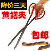 Catch Sea Equipment Thickened Anti-Detheist Clips Stainless Steel Crab Clips Yellow Eel Finless Eel Pliers Professional Tool Lengthened