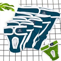 Dog health pants Teddy golden hair male dog female dog menstrual pants aunt sanitary napkin large dog pet safety pants