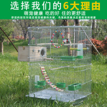 Bird Cage Subparrot Cage Luxury Big Number Villa Bird Cage Parrot Cage Large Parrot Bird Cage Tiger Leather Parrot Bird Cage