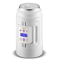 Cooking porridge theorizer WELLNESS SMALL PORTABLE HEATING MULTIFUNCTION TRAVEL MINI SAUCEPAN ELECTRIC HOT WATER CUP