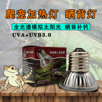 Reptile uva warmed lamp uvb tonic calcium lamp sunburn back lamp climbing and heating insulated light lizard lamp