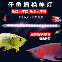 Qianyu god lamp Arowana special lamp brightening and brightening Golden dragon red Arowana lamp Parrot diving waterproof led fish tank lamp