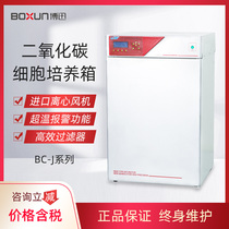 Shanghai Boxun carbon dioxide incubator BC-J80 J160 air jacket thermal conductivity type Boxun CO2 cell incubator