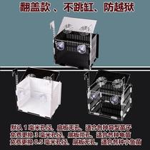  White black acrylic fish tank isolation box Small fish fry breeding and hatching box isolation net gas lift turtle turtle seedlings