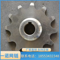 Non-Peuding to do 304 single double row stainless steel sprockets Double pitch wear resistant conveyor line Industrial gear