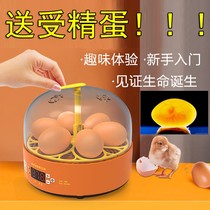 Incubator small household water bed automatic smart mini Cole duck children chick incubator 1 small