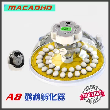 a8孵化器-a8孵化器促销价格、a8孵化器品牌- 淘宝