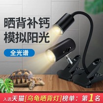 Turtle sun back lamp reptile heating lamp turtle tank uva uvb sun lamp calcium supplement sterilization heat adjustable lamp holder set