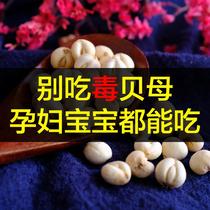 Buy 3 get 1 Tibet Fritillaria flagship store Sichuan Fritillaria powder Chinese medicine authentic Qingbei Feisui 50g