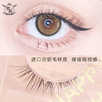 Menglu false eyelashes female supernatural eye tail lengthened 4D monofilament soft stalk imitation mink hair grafting single cluster D213