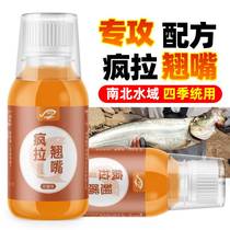 Crazy Laqiao Mouth Fishing Small Drug Concentrated Type Wild Fishing Black Pit Additive Inducing Information Vegetarian Bait Lutico Small Medicine