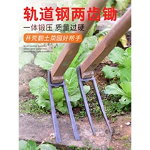 Household all-steel long-term dual-purpose digging and reclamation planting vegetables farming tools two-tooth agricultural rakes