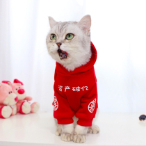 Festive cat clothes to prevent hair loss Spring and autumn thin dog small puppy cat sweater red Pet New Year tide
