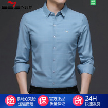 Qi brand mens non-iron long sleeve shirt business leisure mens cotton wrinkle-resistant father plaid shirt spring and autumn shirt
