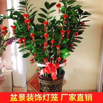 Spring Festival New Years Day Creative Indoor and Outdoor Wealth Tree Plants Bonsai Flocking Little Red Lantern Pendant New Year Decoration