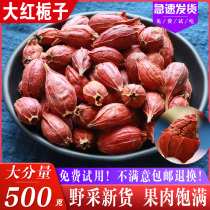 Red Gardenia 500g Chinese herbal medicine gardenia fruit yellow branches tea is not wild mountain Gardenia coloring edible soaking water