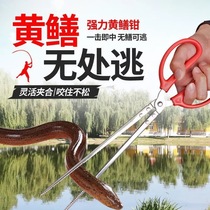 Finless eel clips Catch Mud loach Divine Instrumental Catch-up to Sea Tools Snake Tools Eel Pliers Sanitation ten Things Rubbish Iron Clips