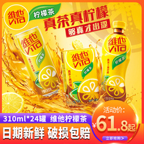 Vita Vita Lemon Tea 310ml*24 cans Vita milk Soy milk original lemon tea drinks Drinks FCL wholesale