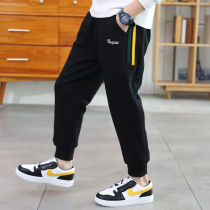 Boys trousers childrens wear trousers 2020 new childrens casual middle-aged childrens spring and autumn pants Korean version plus fleece pants