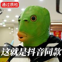 Trembling funny tasteless green-headed monster headgear Green fish man sand carving mask Funny green-headed fish Green strange fish cute