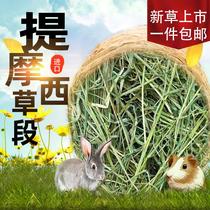  Rabbit food Rabbit feed 20 years Timothy hay Timothy grass 500g Dutch pig feed Totoro grass Guinea pig