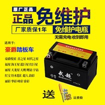 Haumai Hao Jue Xing 125 womens pedal motorcycle battery YTX7A maintenance-free pedal battery 12V7AH