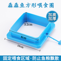 Feeder Feeding ring Anti-drift Tropical guppy feeding ring Aquarium fish tank Fish food Fish food feed feeder