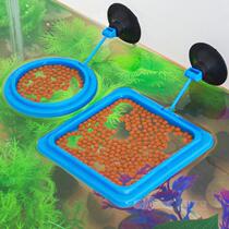Aquarium small fish tank feeding ring feeder anti-floating guppy fish feed fixed-point feeding ring
