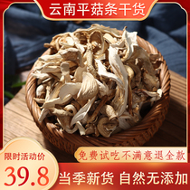 Pleurotus ostreatus 500g Yunnan specialty home edible fungus Phoenix mushroom white Pleurotus ostreatus Fresh Mushroom Mushroom mushroom ingredients