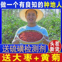Chinese wolfberry Ningxia Special 500g authentic big grain tea tea male kidney red dry official flagship store