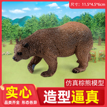 Foreign Research Society simulation animal brown bear model toy wild animal doll childrens toy early education cognitive gift